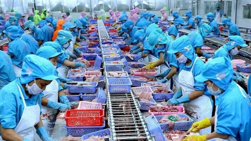 Whitefish shortage in EU opens market opportunities for Vietnam’s pangasius